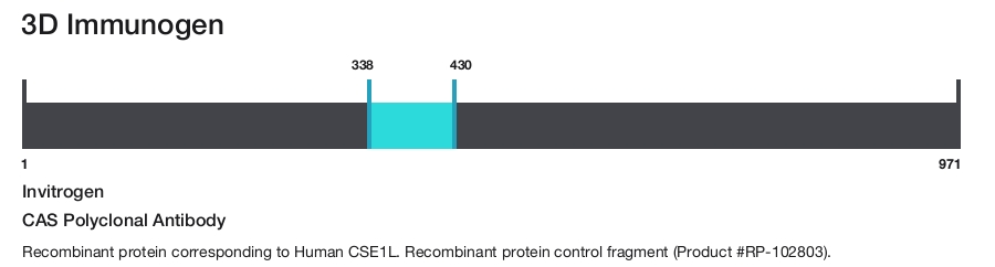 CAS Polyclonal Antibody