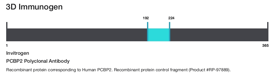 PCBP2 Polyclonal Antibody