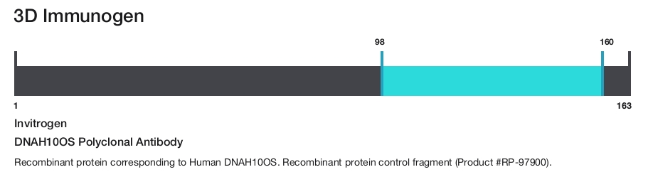 DNAH10OS Polyclonal Antibody