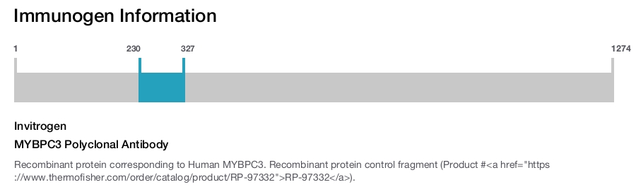 MYBPC3 Polyclonal Antibody