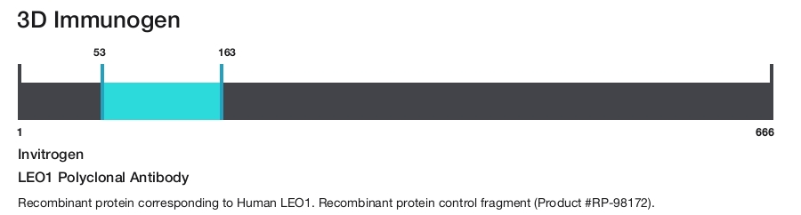 LEO1 Polyclonal Antibody