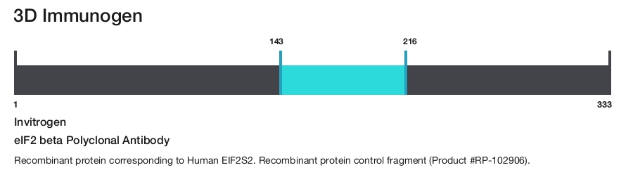 eIF2 beta Polyclonal Antibody