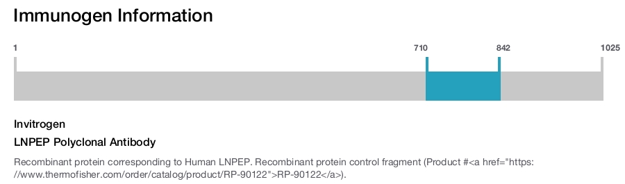 LNPEP Polyclonal Antibody