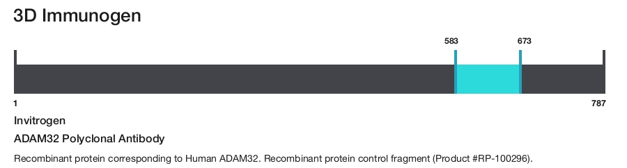 ADAM32 Polyclonal Antibody
