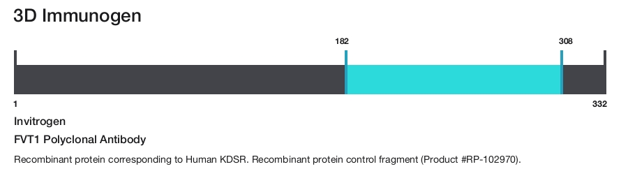 FVT1 Polyclonal Antibody