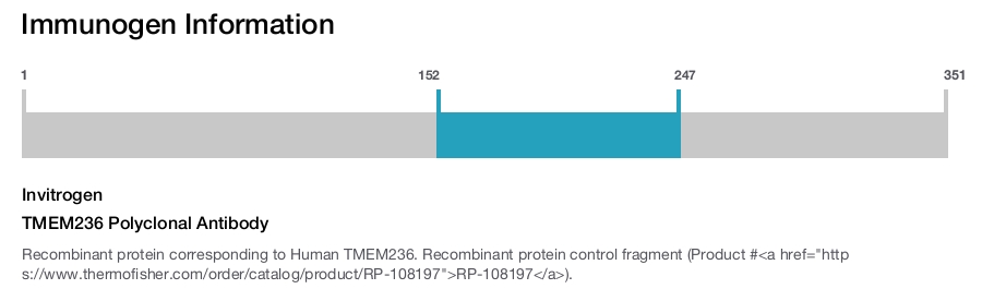 Immunogen Image TMEM236 Polyclonal Antibody