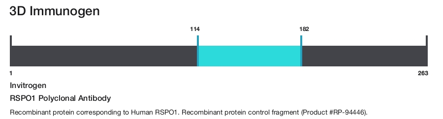RSPO1 Polyclonal Antibody