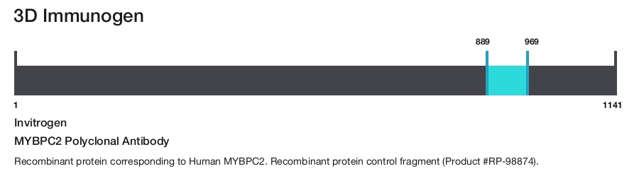 MYBPC2 Polyclonal Antibody