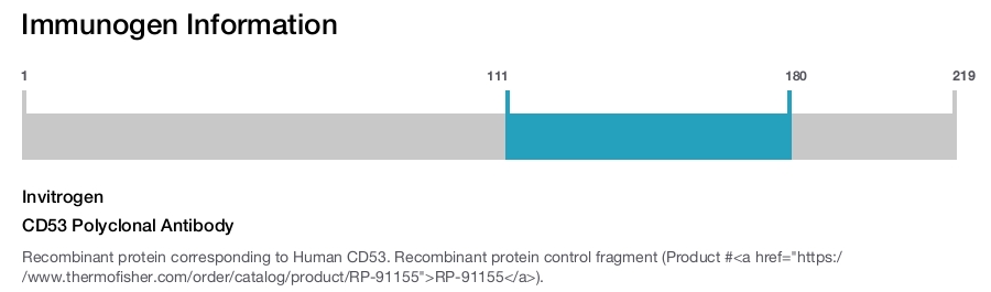 CD53 Polyclonal Antibody