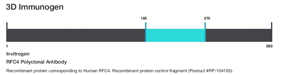 RFC4 Polyclonal Antibody