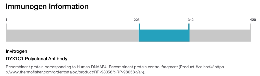 DYX1C1 Polyclonal Antibody