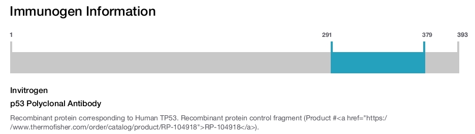 p53 Polyclonal Antibody