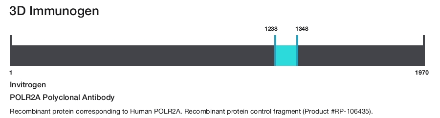 POLR2A Polyclonal Antibody
