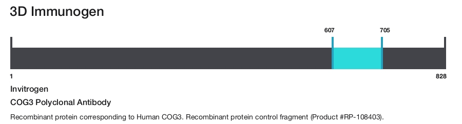 COG3 Polyclonal Antibody