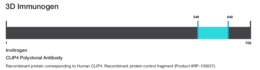 CLIP4 Polyclonal Antibody