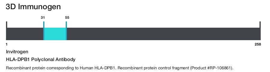 HLA-DPB1 Polyclonal Antibody