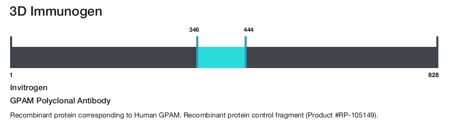 GPAM Polyclonal Antibody