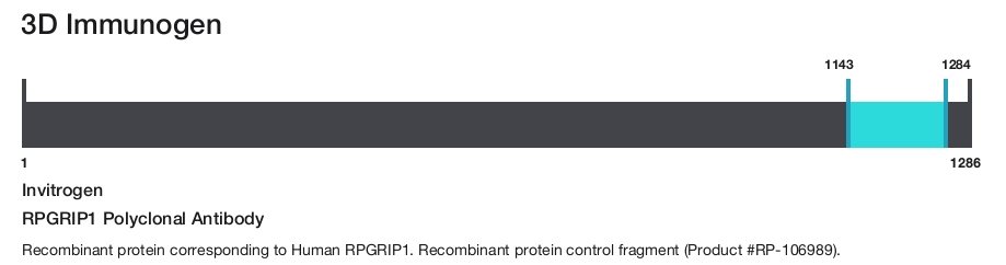 RPGRIP1 Polyclonal Antibody