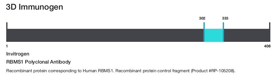 RBMS1 Polyclonal Antibody