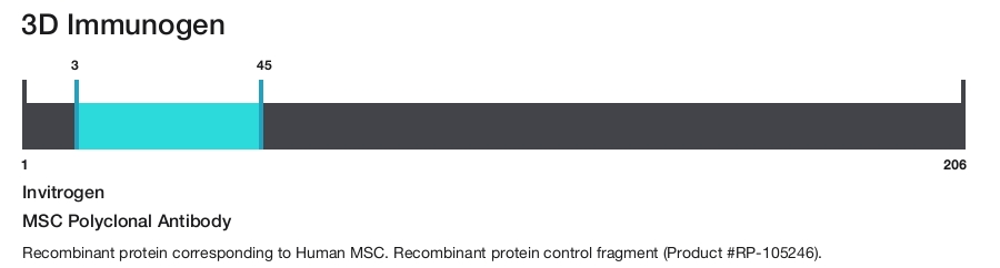 MSC Polyclonal Antibody