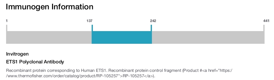 ETS1 Polyclonal Antibody