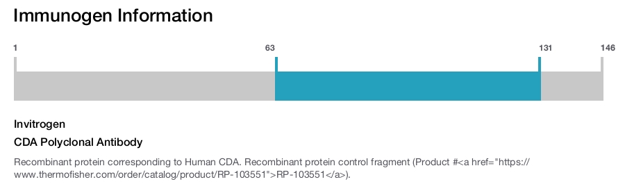 CDA Polyclonal Antibody