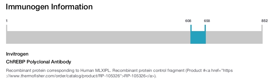ChREBP Polyclonal Antibody