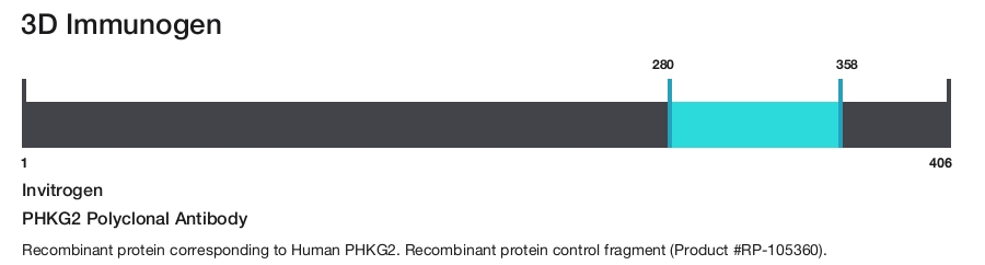 PHKG2 Polyclonal Antibody