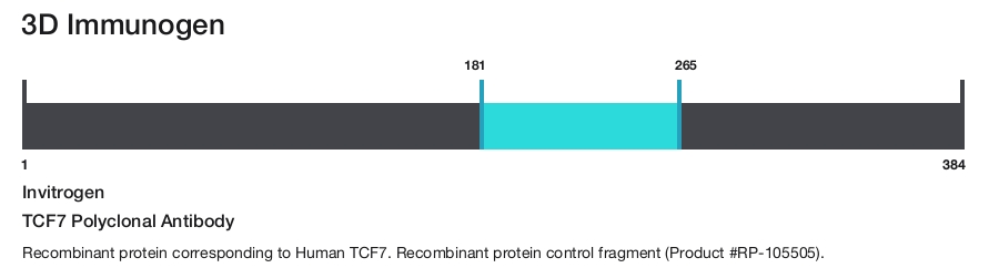 TCF7 Polyclonal Antibody