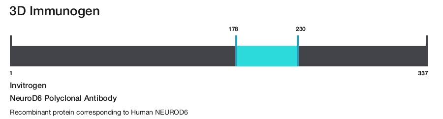 NeuroD6 Polyclonal Antibody