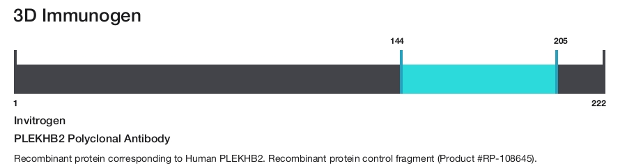 PLEKHB2 Polyclonal Antibody
