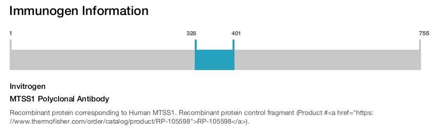 MTSS1 Polyclonal Antibody