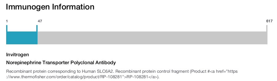 Norepinephrine Transporter Polyclonal Antibody