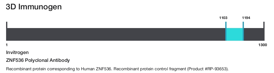 ZNF536 Polyclonal Antibody