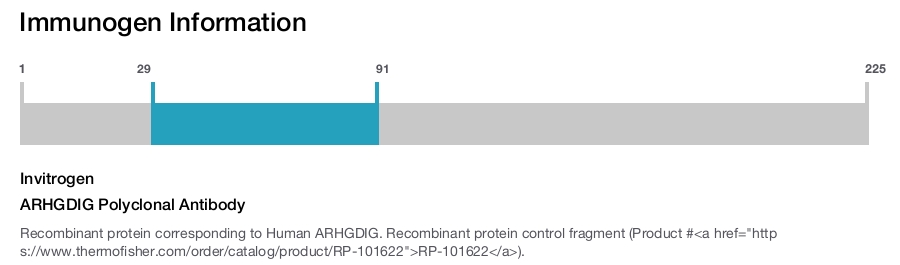 ARHGDIG Polyclonal Antibody