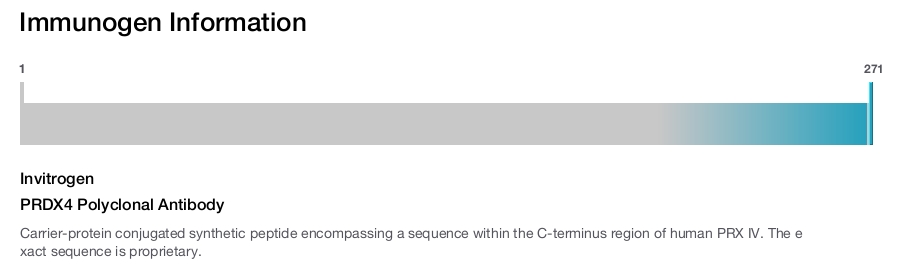 PRDX4 Polyclonal Antibody