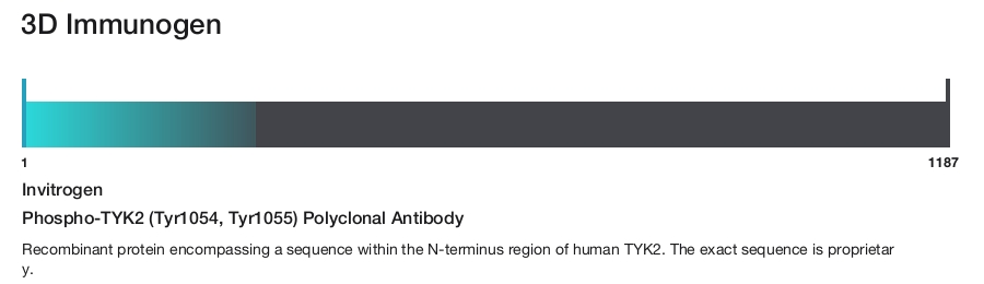 Phospho-TYK2 (Tyr1054, Tyr1055) Polyclonal Antibody