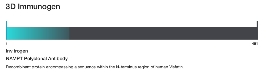 NAMPT Polyclonal Antibody