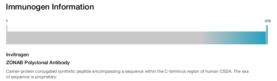 ZONAB Polyclonal Antibody