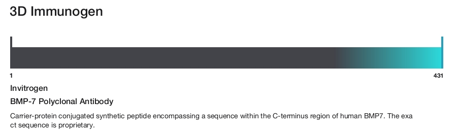 BMP-7 Polyclonal Antibody