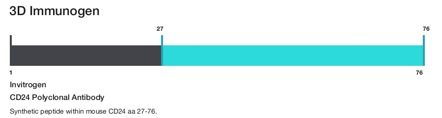 CD24 Polyclonal Antibody