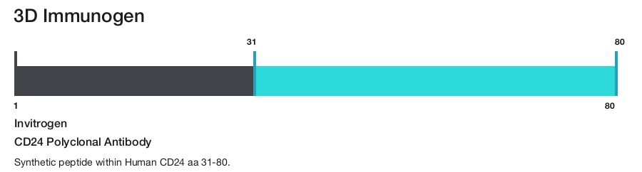 CD24 Polyclonal Antibody