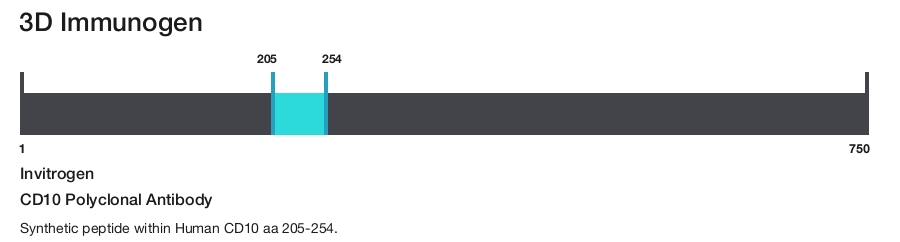 CD10 Polyclonal Antibody