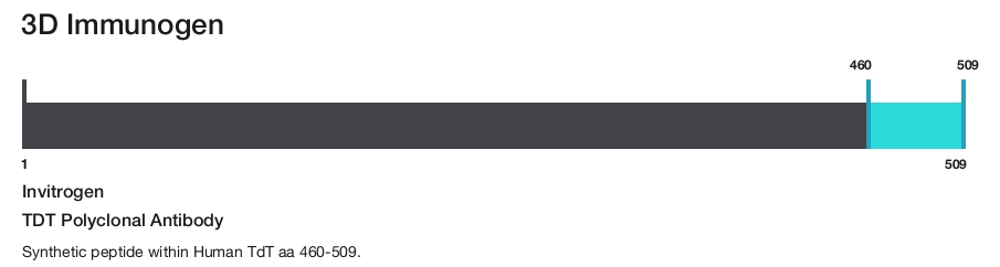 TDT Polyclonal Antibody