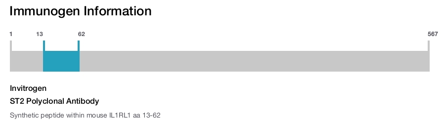 ST2 Polyclonal Antibody