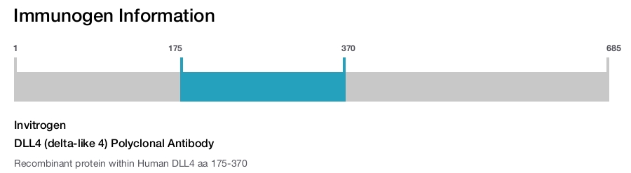 DLL4 (delta-like 4) Polyclonal Antibody