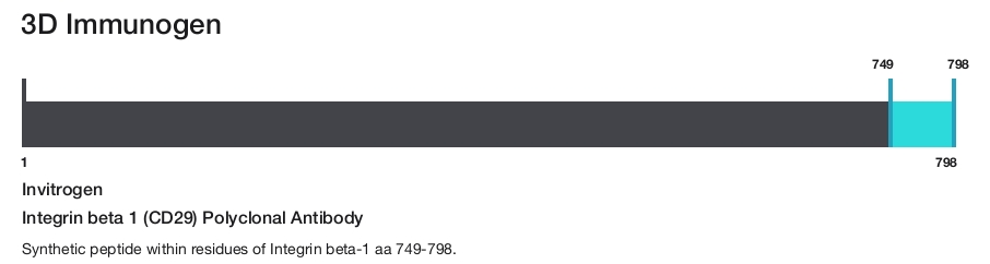 Integrin beta 1 (CD29) Polyclonal Antibody