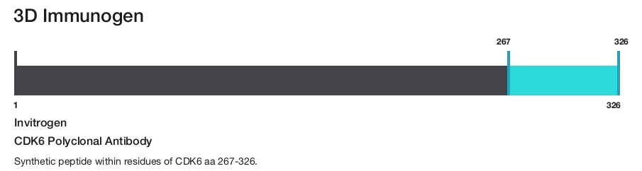 CDK6 Polyclonal Antibody
