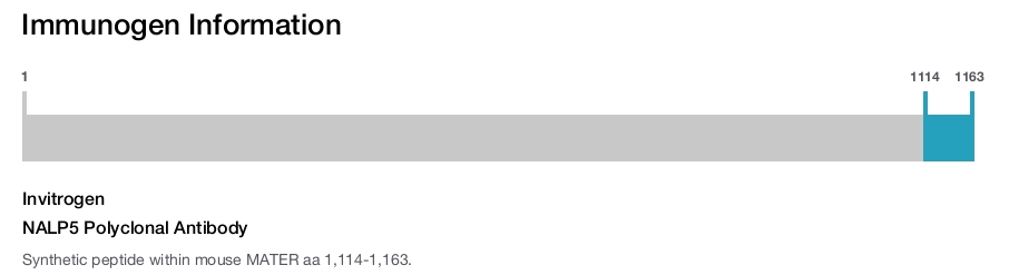 NALP5 Polyclonal Antibody
