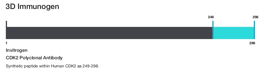 CDK2 Polyclonal Antibody